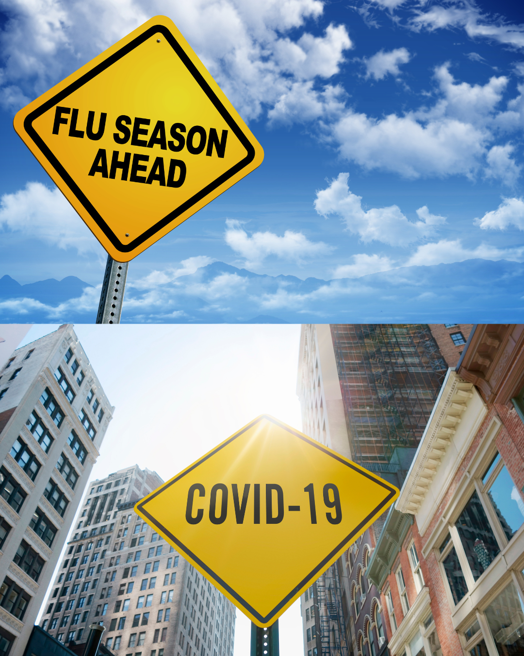 Flu/Covid